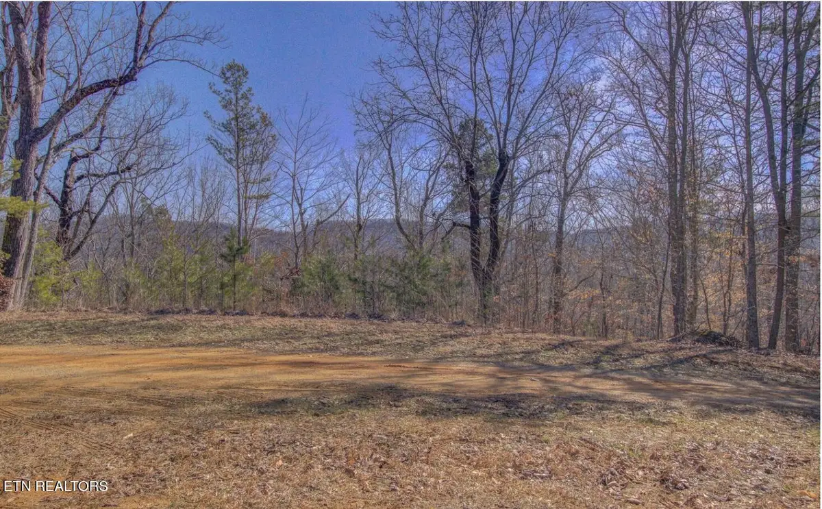 4585 Crooked Creek Way Lot 3, Maryville, TN 37803 - #1