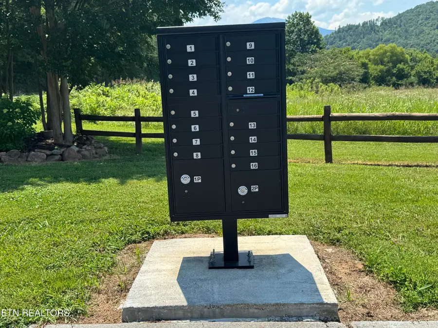 River Rapids Way Lot 5 Way, Del Rio, TN 37727 - #3