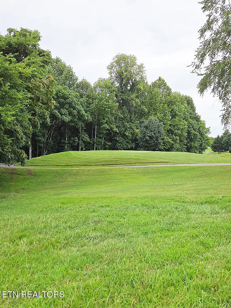 148 White Hawk Drive, Vonore, TN 37885 - Image #3