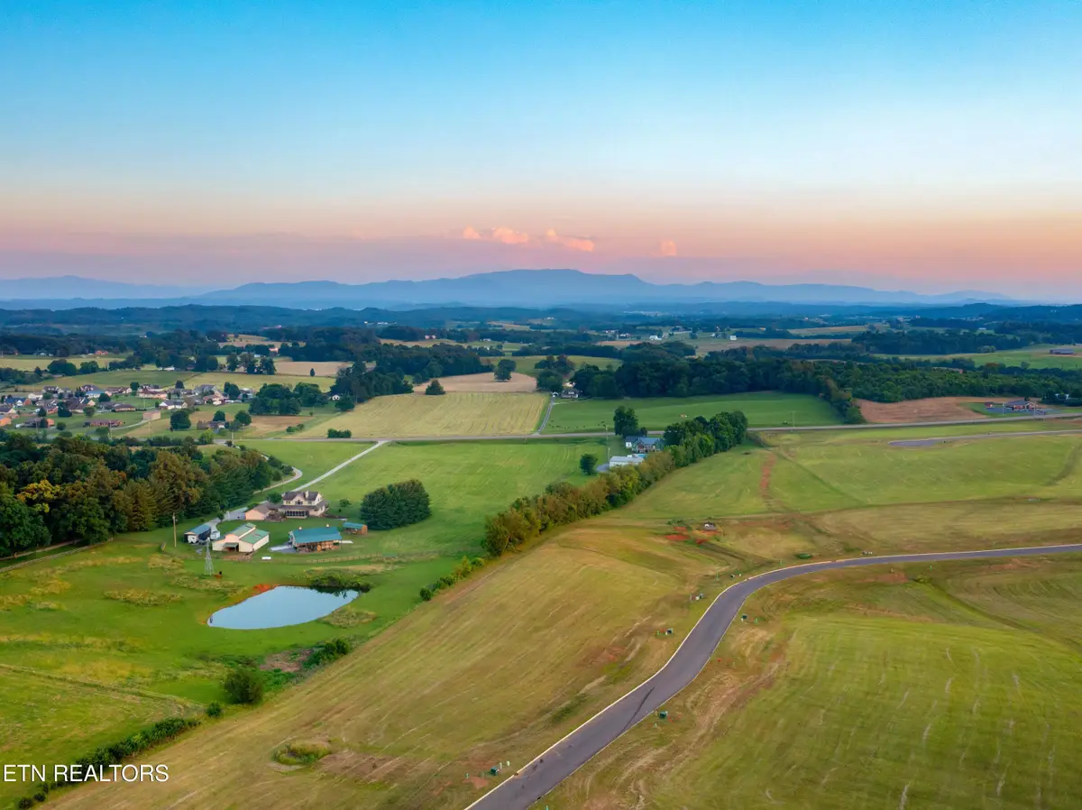 Lot 39 Meadow Vista Way, White Pine, TN 37890 - #1