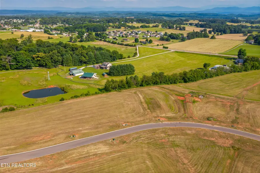 Lot 39 Meadow Vista Way, White Pine, TN 37890 - #2