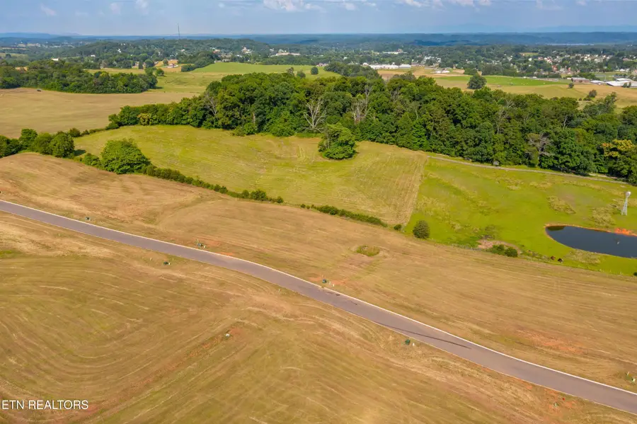 Lot 39 Meadow Vista Way, White Pine, TN 37890 - #3