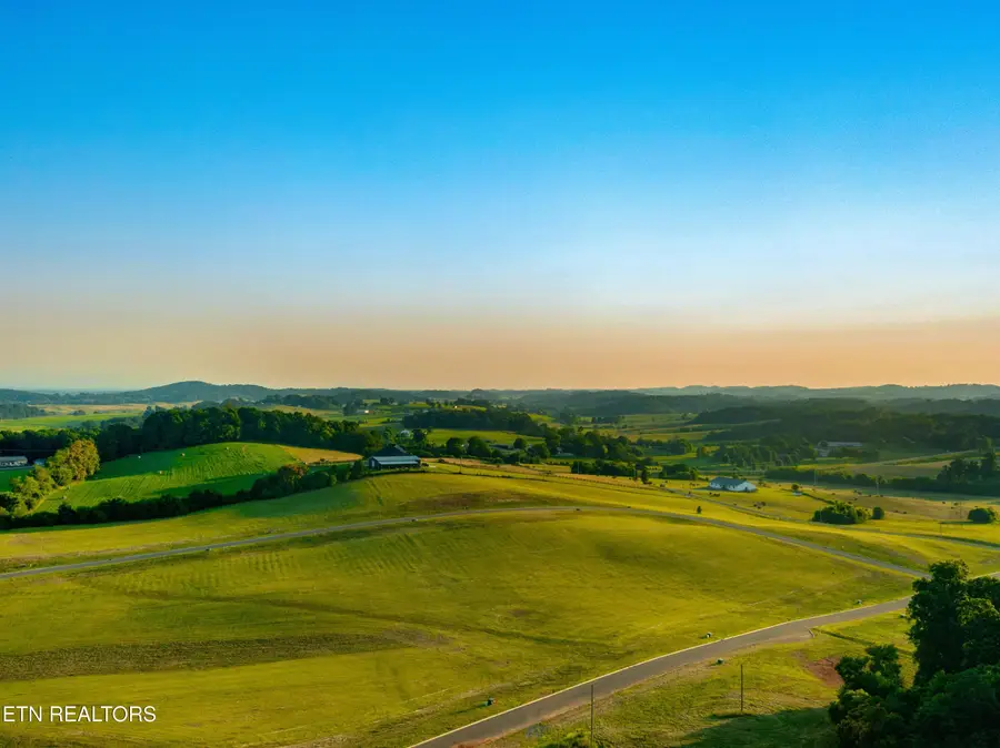 Lot 56 Meadow Vista Way, White Pine, TN 37890 - #2