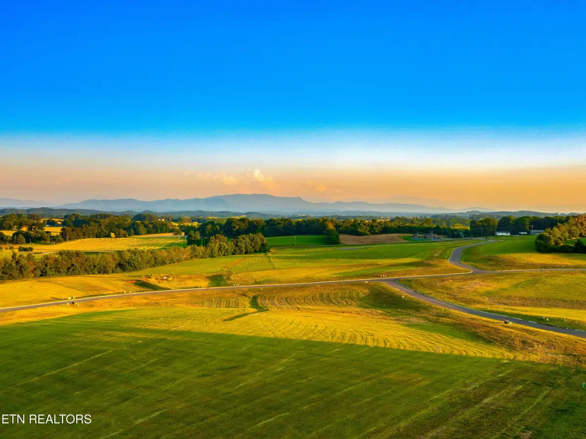 Lot 71 Vista Ridge Drive, White Pine, TN 37890 - #1