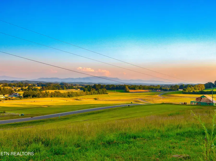 Lot 72 Vista Ridge Drive, White Pine, TN 37890 - #2