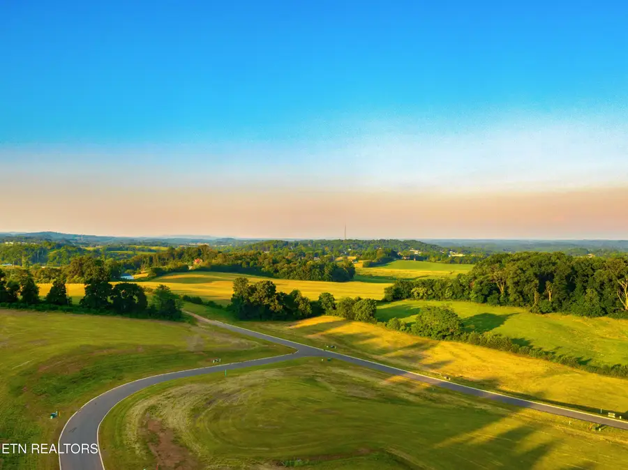 Lot 76 Meadow Rose Drive, White Pine, TN 37890 - #3