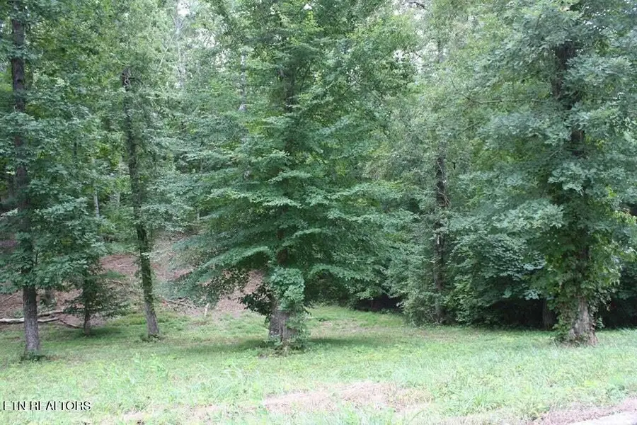 #3