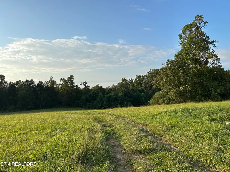 379 Christenson Rd, Deer Lodge, TN 37726 - Image #2