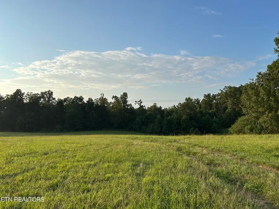 379 Christenson Rd, Deer Lodge, TN 37726 - Image #3