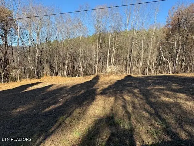 Lot 22 Moon Circle, Spring City, TN 37381 - #3