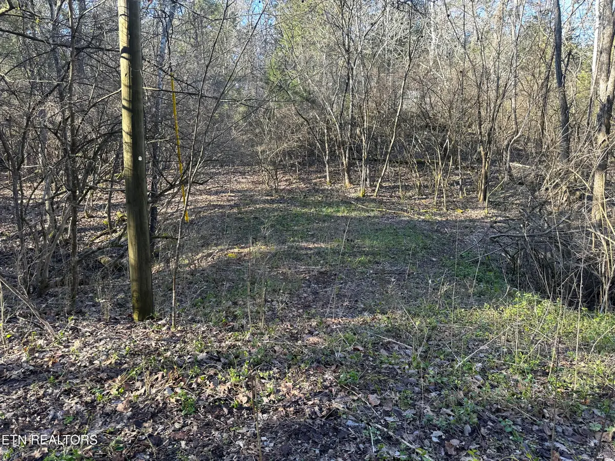 Lot 41 Haven Hill Rd., Louisville, TN 37777 - #1