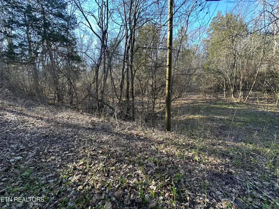 Lot 41 Haven Hill Rd., Louisville, TN 37777 - #2