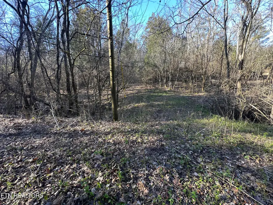 Lot 41 Haven Hill Rd., Louisville, TN 37777 - #3