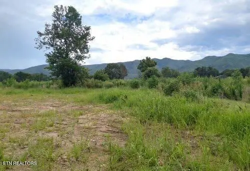 290 Bill Mauk Rd, Chuckey, TN 37641 - Image #3