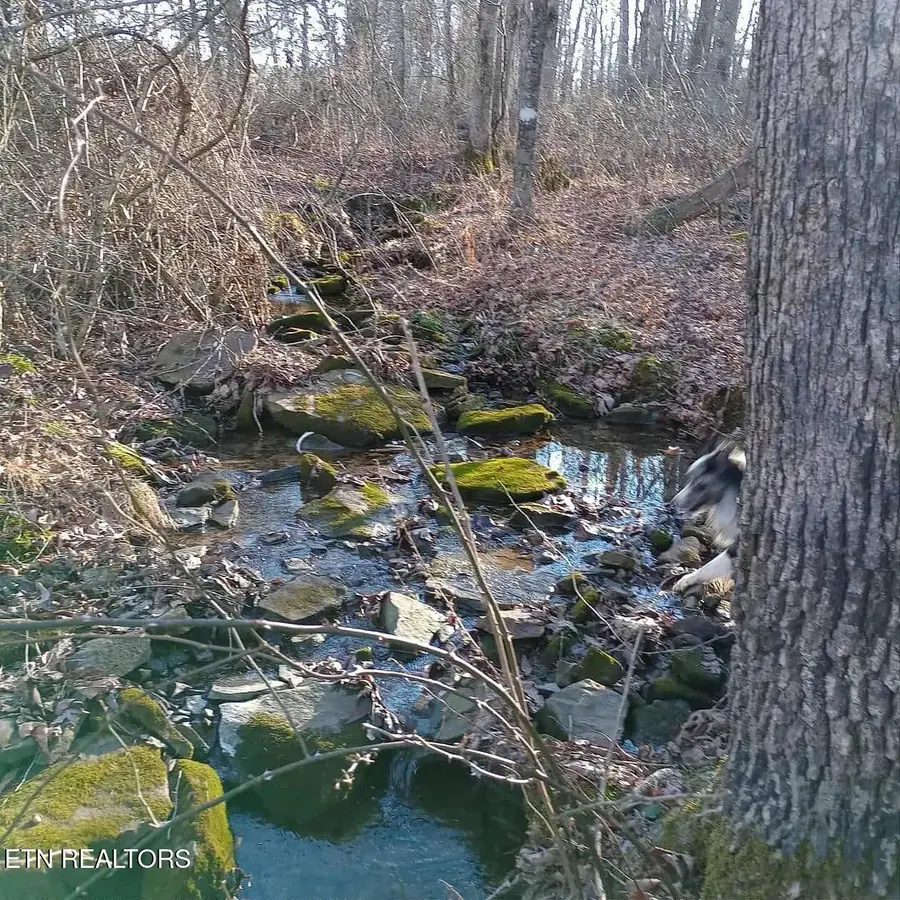 11.3 acres Summer City Rd, Pikeville, TN 37367 - #2