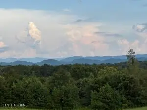 705 County Road 446, Athens, TN 37303 - #1