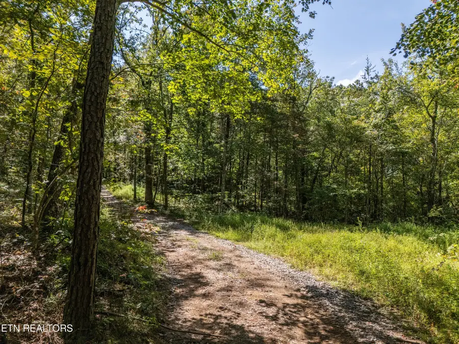 841 Griffith Rd, Pikeville, TN 37367 - Image #3