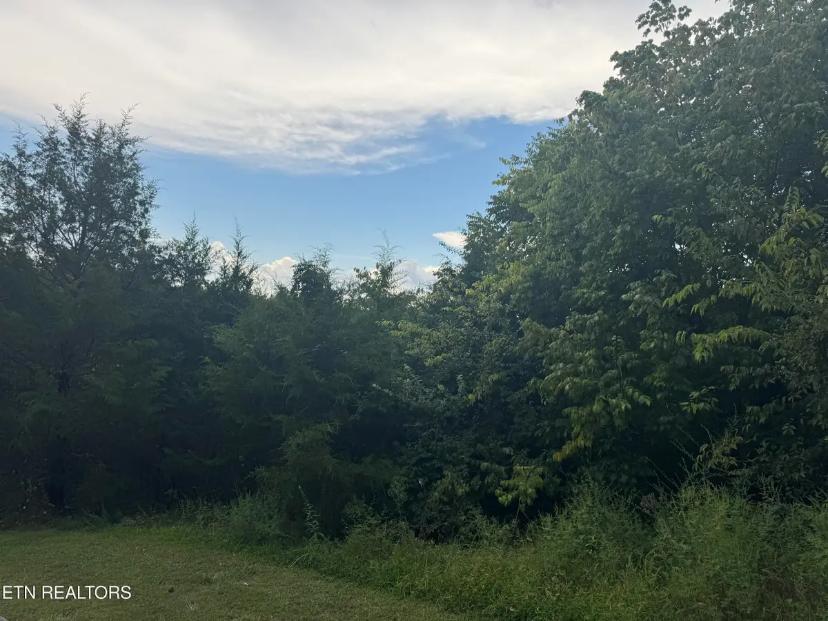 Eagle Feather Drive, Sevierville, TN 37876 - #1