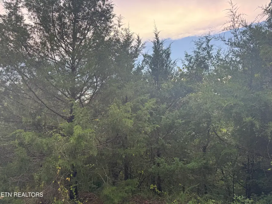 Eagle Feather Drive, Sevierville, TN 37876 - #2