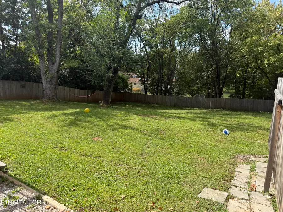 509 Cedar Lane, Knoxville, TN 37912 - #2