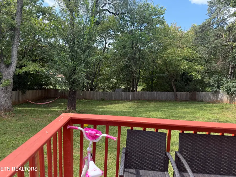 509 Cedar Lane, Knoxville, TN 37912 - #3
