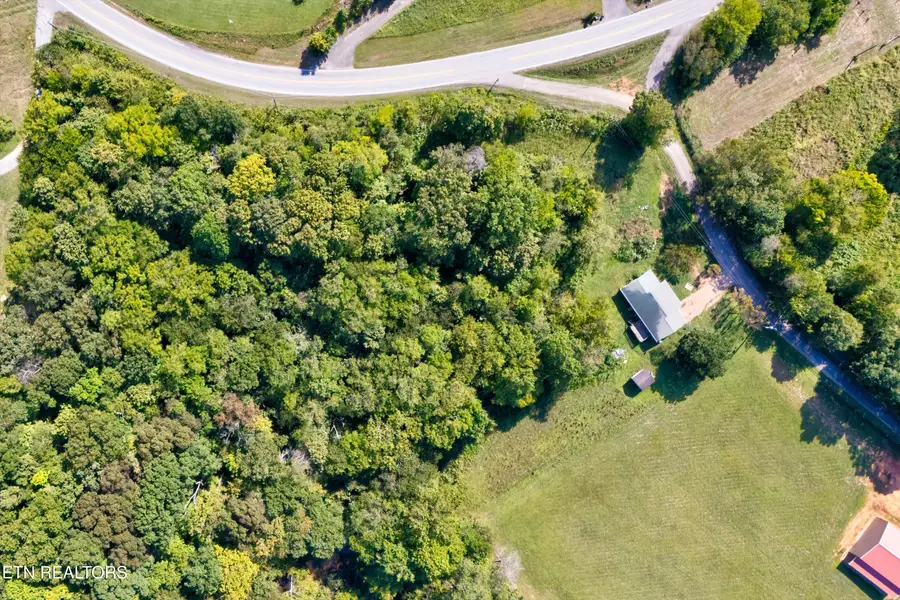 321 Hendrix Loop, Madisonville, TN 37354 - #3