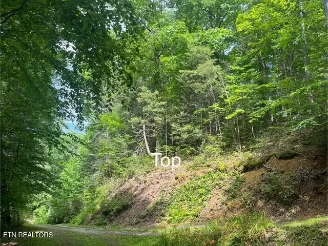 #1