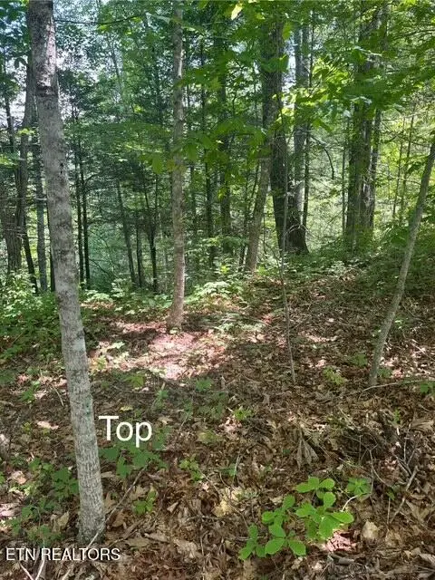 #2