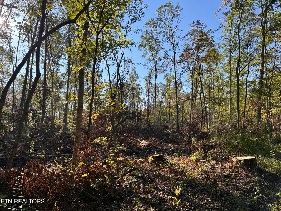 11.53 Ac Government Pond Rd, Jamestown, TN 38556 - #3