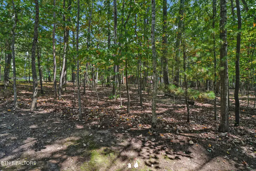 19 Trafalgar Lane, Crossville, TN 38558 - Image #3