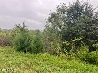 553 Garnet Tr, New Tazewell, TN 37825 - Image #2