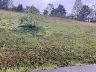 553 Garnet Tr, New Tazewell, TN 37825 - Image #3