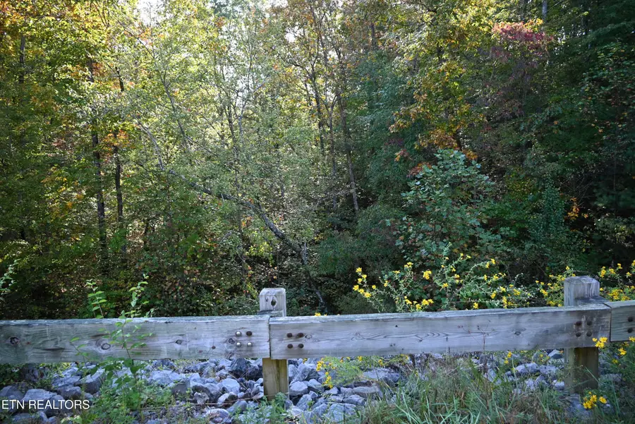 Hickory Gap Lane, Crossville, TN 38572 - Image #3