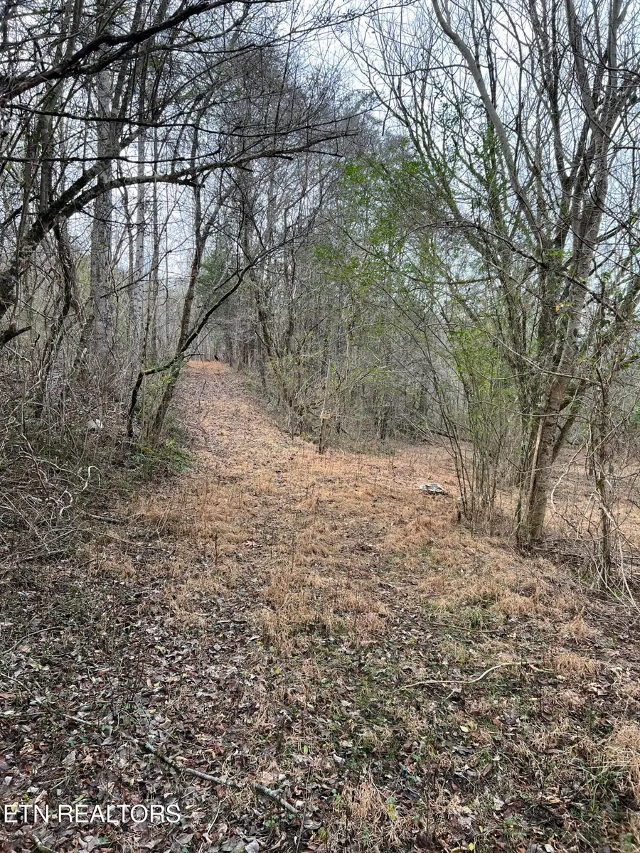 3012 Ballplay Rd, Madisonville, TN 37354 - #2