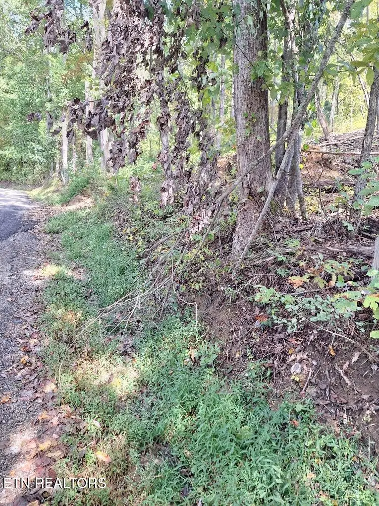 Old Cave Springs Rd, Tazewell, TN 37879 - #2