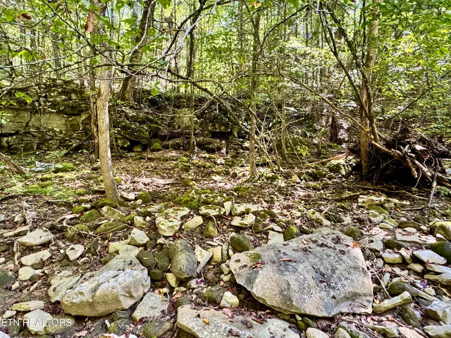 Lot 53 W Bobcat Lane, Wilder, TN 38589 - Image #2