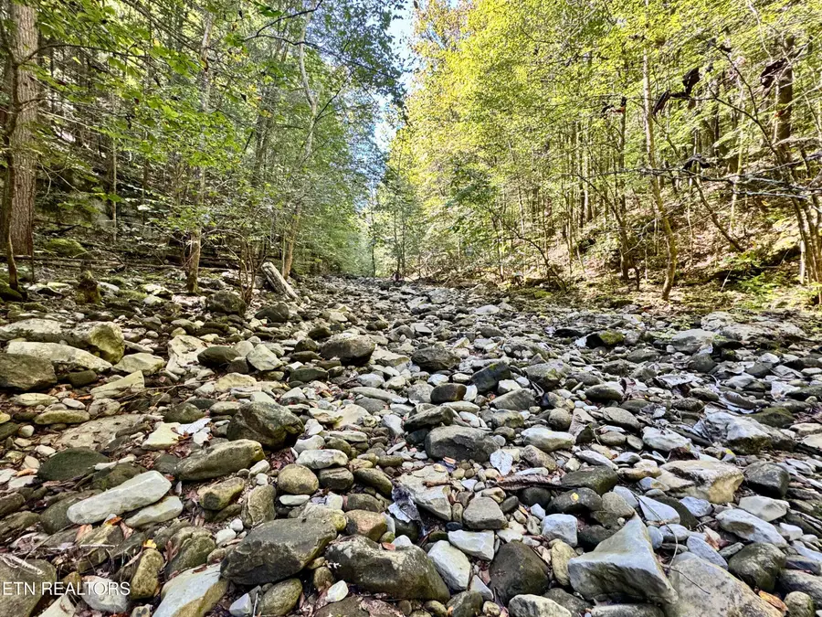 Lot 53 W Bobcat Lane, Wilder, TN 38589 - Image #3