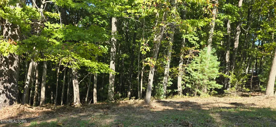 44 Brummel Lane, Crossville, TN 38558 - Image #2