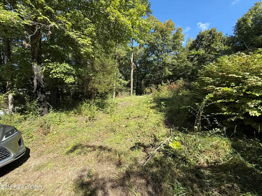 184 Old Midway Rd, Lenoir City, TN 37772 - Image #3