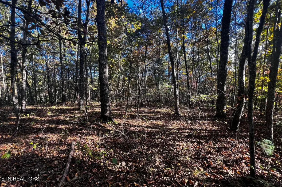 1320 Black Cloud Drive, Crossville, TN 38572 - Image #1