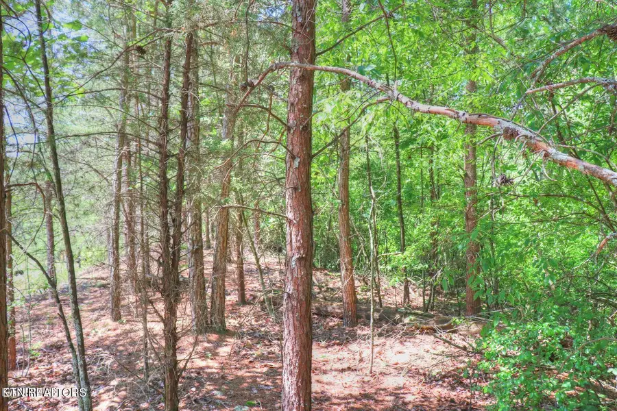 Lot 451 Crystal Springs Rd, Rockwood, TN 37854 - Image #2