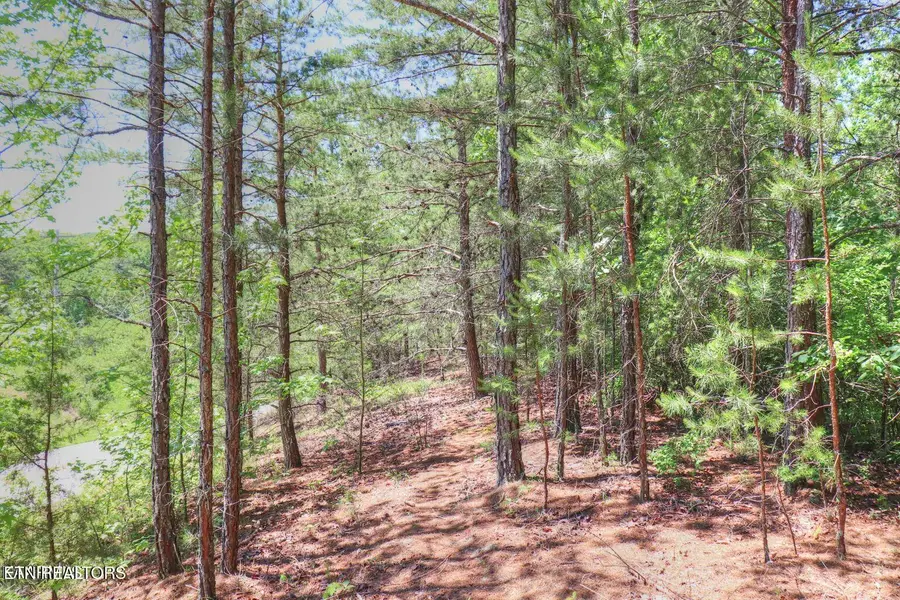 Lot 451 Crystal Springs Rd, Rockwood, TN 37854 - Image #3