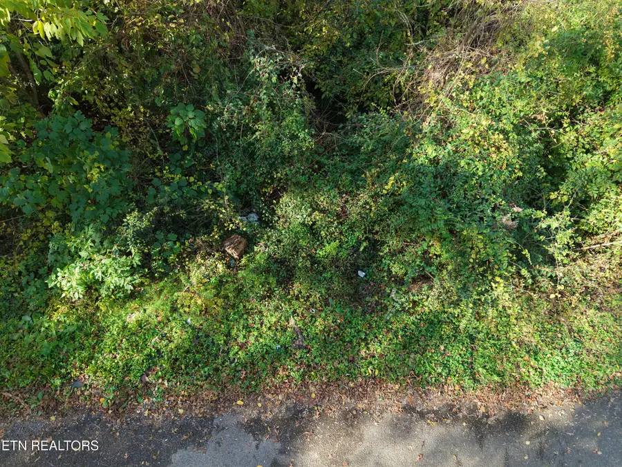 2206 Lonsdale Pike, Knoxville, TN 37921 - Image #2