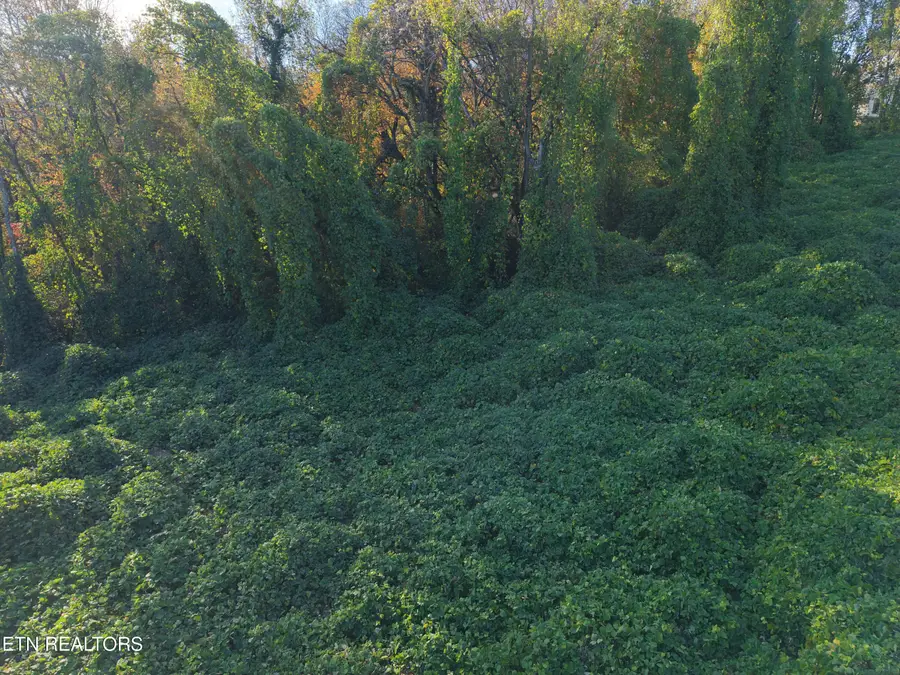 1831 SE Natchez Ave, Knoxville, TN 37915 - Image #2