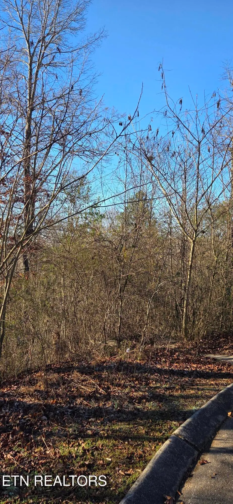 Lot 3 Sugar Maple Court, Madisonville, TN 37354 - #1