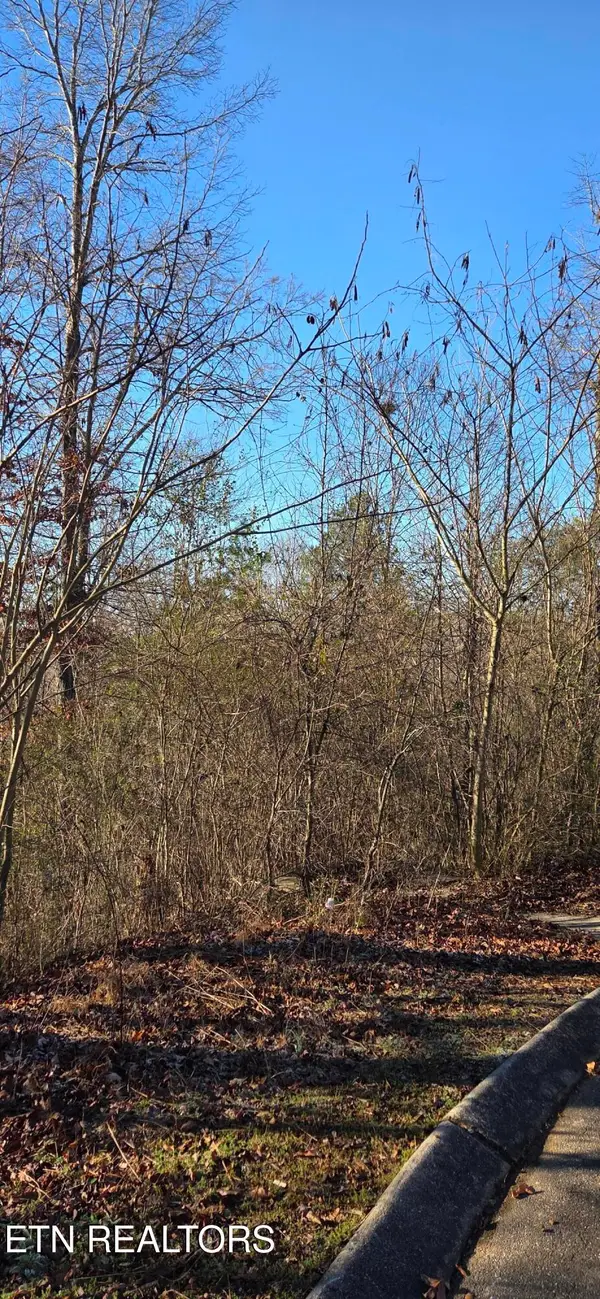 Lot 3 Sugar Maple Court, Madisonville, TN 37354