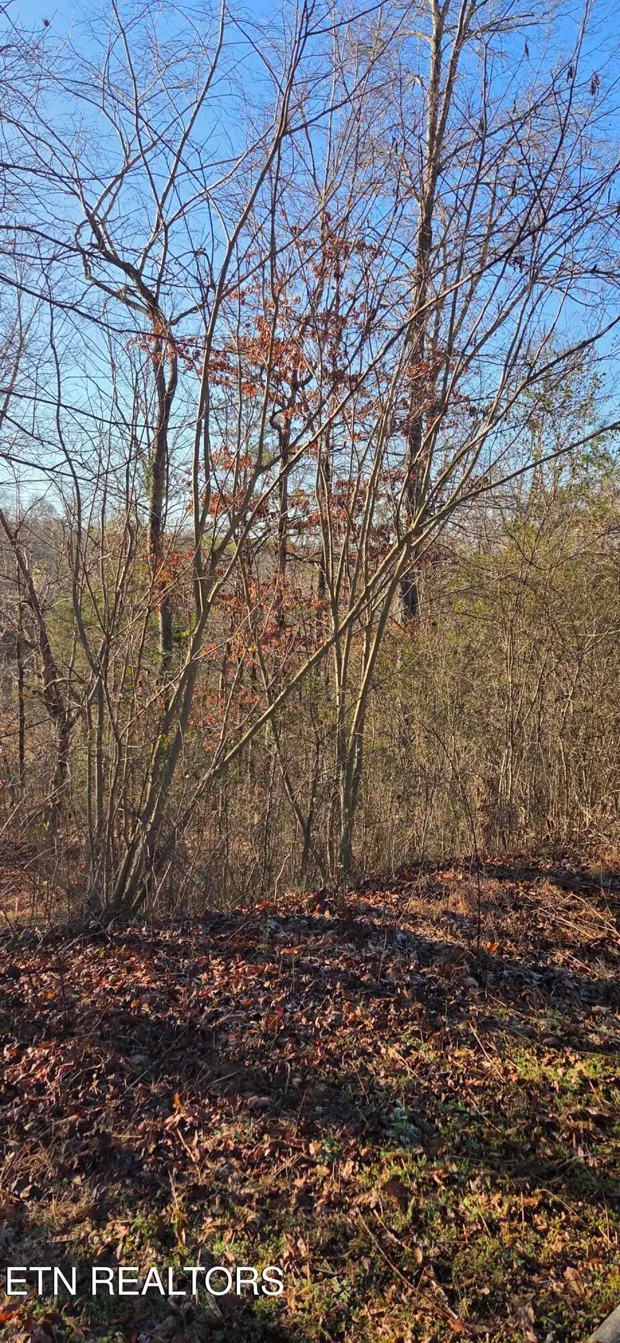 Lot 3 Sugar Maple Court, Madisonville, TN 37354 - #2