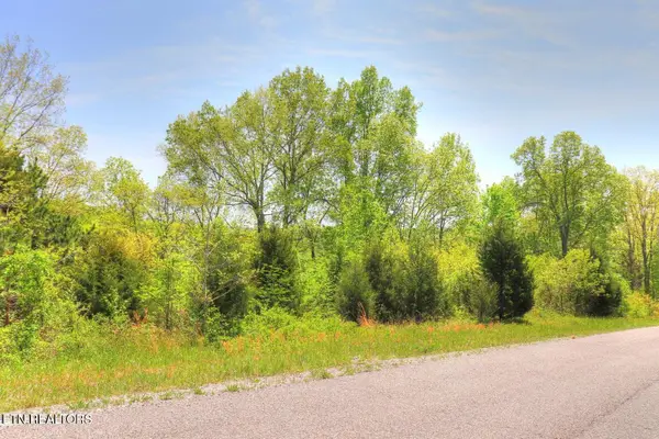Lot 172 Saddleridge Drive, Speedwell, TN 37870