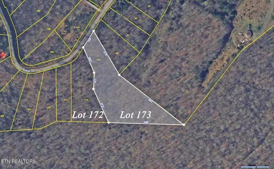 Lot 173 Saddleridge Drive, Speedwell, TN 37870 - #2