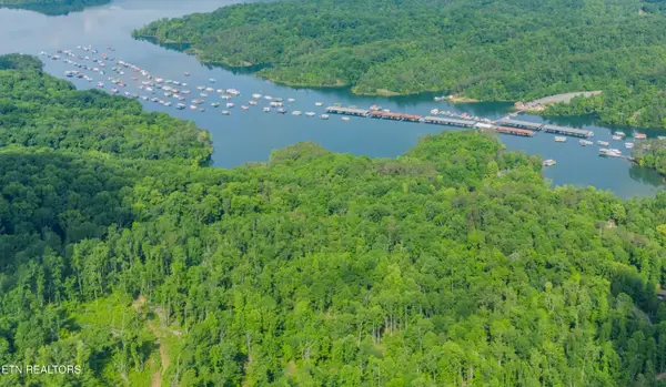 Lake Lane, New Tazewell, TN 37825